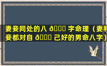 妻妾同处的八 🐒 字命理（妻和妾都对自 🐘 己好的男命八字）